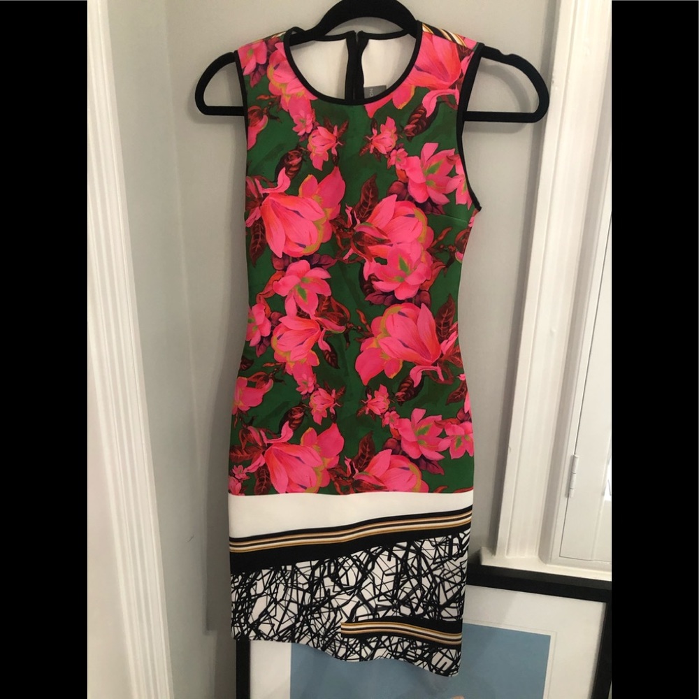 Clover Canyon Bodycon Mini dress